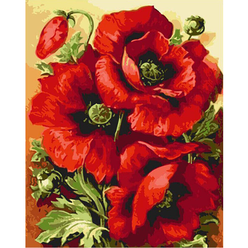 1Set DIY Digital Oil Paintings By Numbers Frameless Canvas Handpainted Abstract Home Wall Decoration Red Flower Pattern 40x50cm-Dollar Bargains Online Shopping Australia
