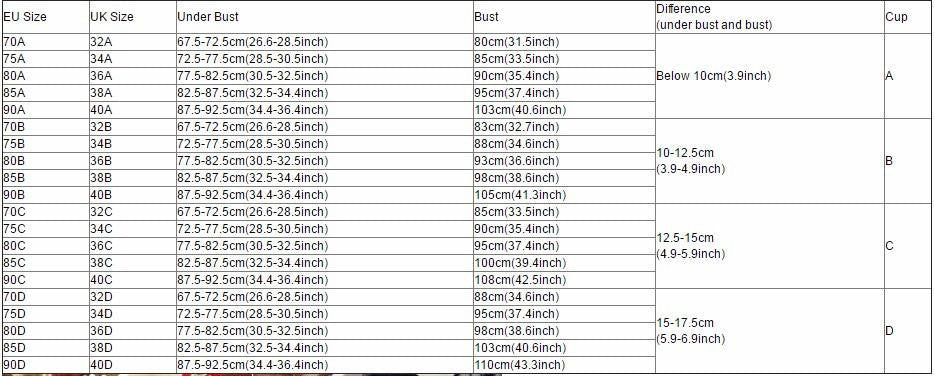 Elegent Women Lace Lingerie Underwear Push-Up Padded Bra Set