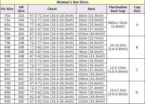 Online discount shop Australia - Fashion Sexy Lace Bra Set Push up Lingerie Women Underwear Sets Intimates Embroidery Floral Mesh Patchwork