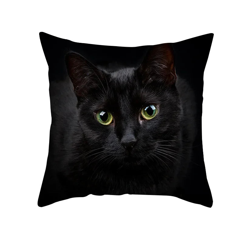 Black Cat Pillowcases Polyester Home Cute Kitty Animal Lover Cushion Cover Funny Decoration Pillow-Dollar Bargains Online Shopping Australia