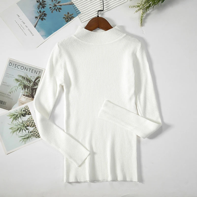 Women Turtleneck Sweater Knitted Soft Pullovers cashmere Jumpers Basic Solid Soft Sweaters Women Autumn Winter Casual Top-Dollar Bargains Online Shopping Australia