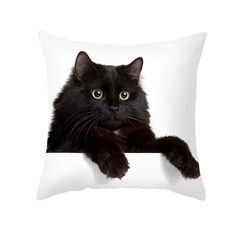 Black Cat Pillowcases Polyester Home Cute Kitty Animal Lover Cushion Cover Funny Decoration Pillow-Dollar Bargains Online Shopping Australia