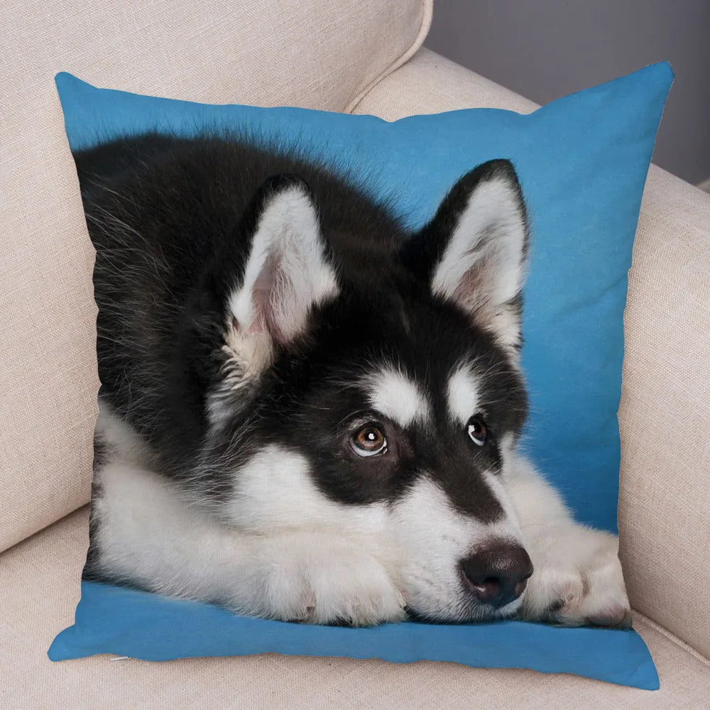 45296466591966|45296466624734|45296466657502|45296466690270