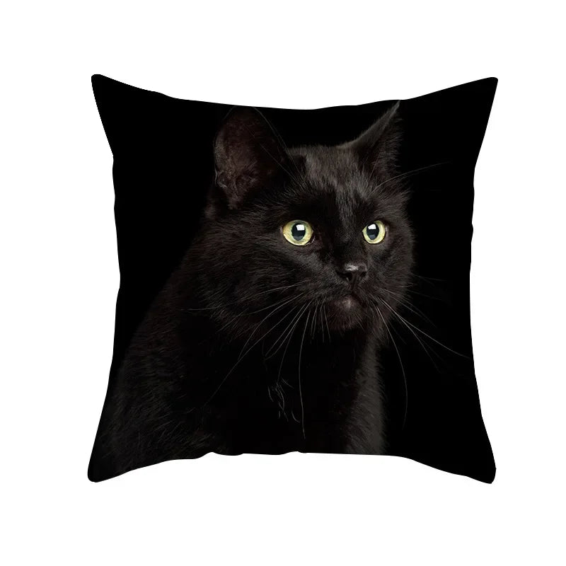 Black Cat Pillowcases Polyester Home Cute Kitty Animal Lover Cushion Cover Funny Decoration Pillow-Dollar Bargains Online Shopping Australia