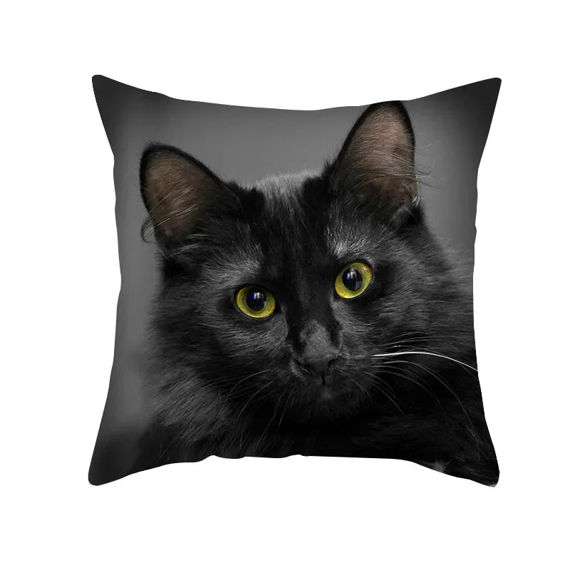 Black Cat Pillowcases Polyester Home Cute Kitty Animal Lover Cushion Cover Funny Decoration Pillow-Dollar Bargains Online Shopping Australia