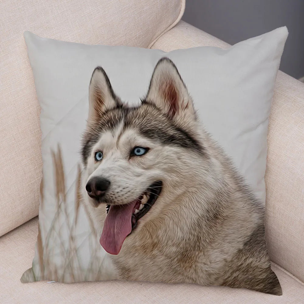 45296466297054|45296466329822|45296466395358|45296466428126