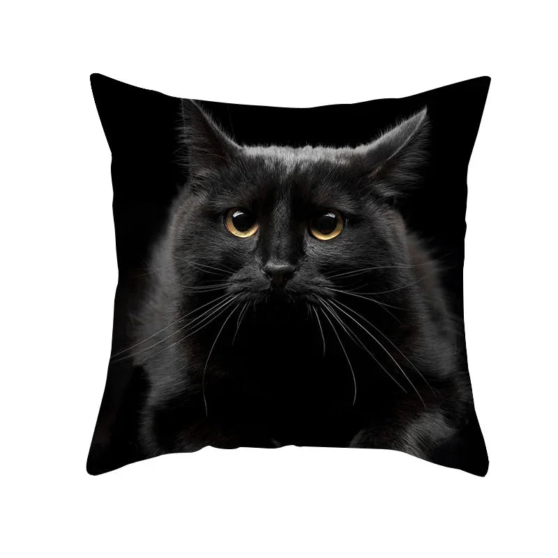 Black Cat Pillowcases Polyester Home Cute Kitty Animal Lover Cushion Cover Funny Decoration Pillow-Dollar Bargains Online Shopping Australia