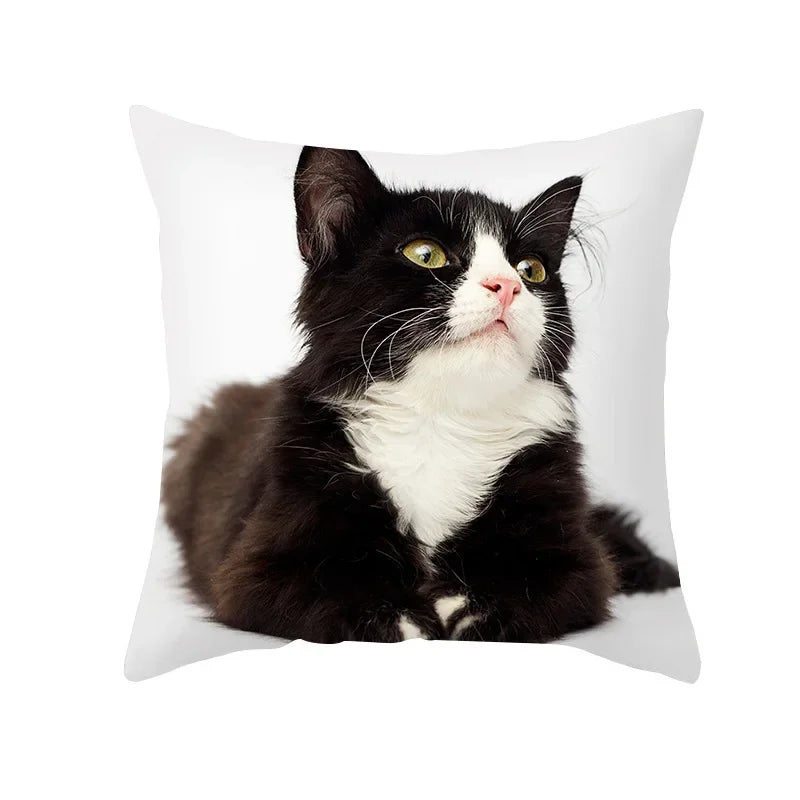 Black Cat Pillowcases Polyester Home Cute Kitty Animal Lover Cushion Cover Funny Decoration Pillow-Dollar Bargains Online Shopping Australia