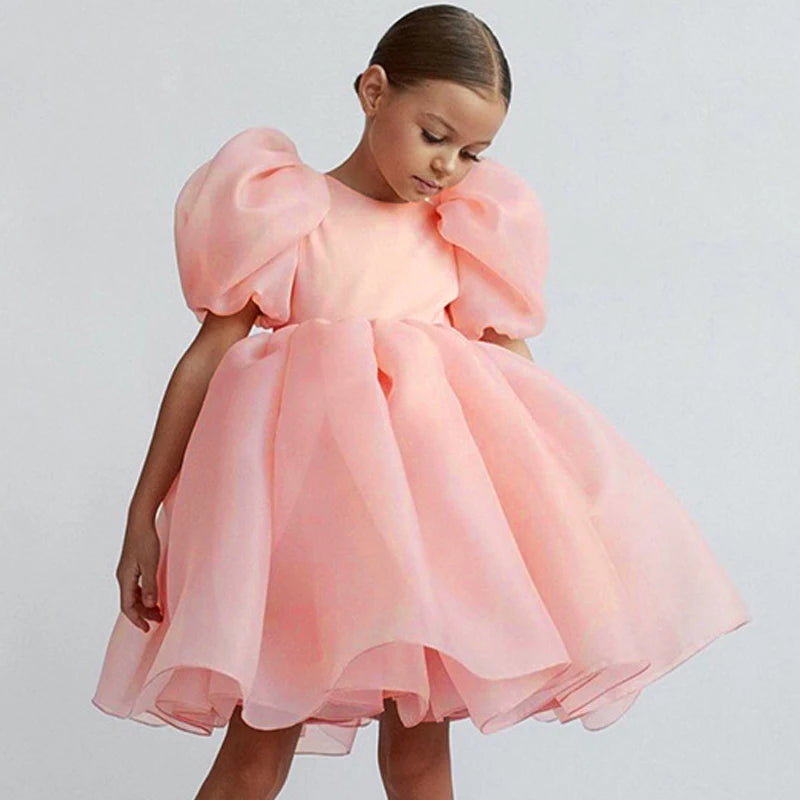 Girl Princess Dress Tulle Puff Sleeve Wedding Party Kids Dresses for Girls Birthday Child Clothes Bridemaids Gown-Dollar Bargains Online Shopping Australia