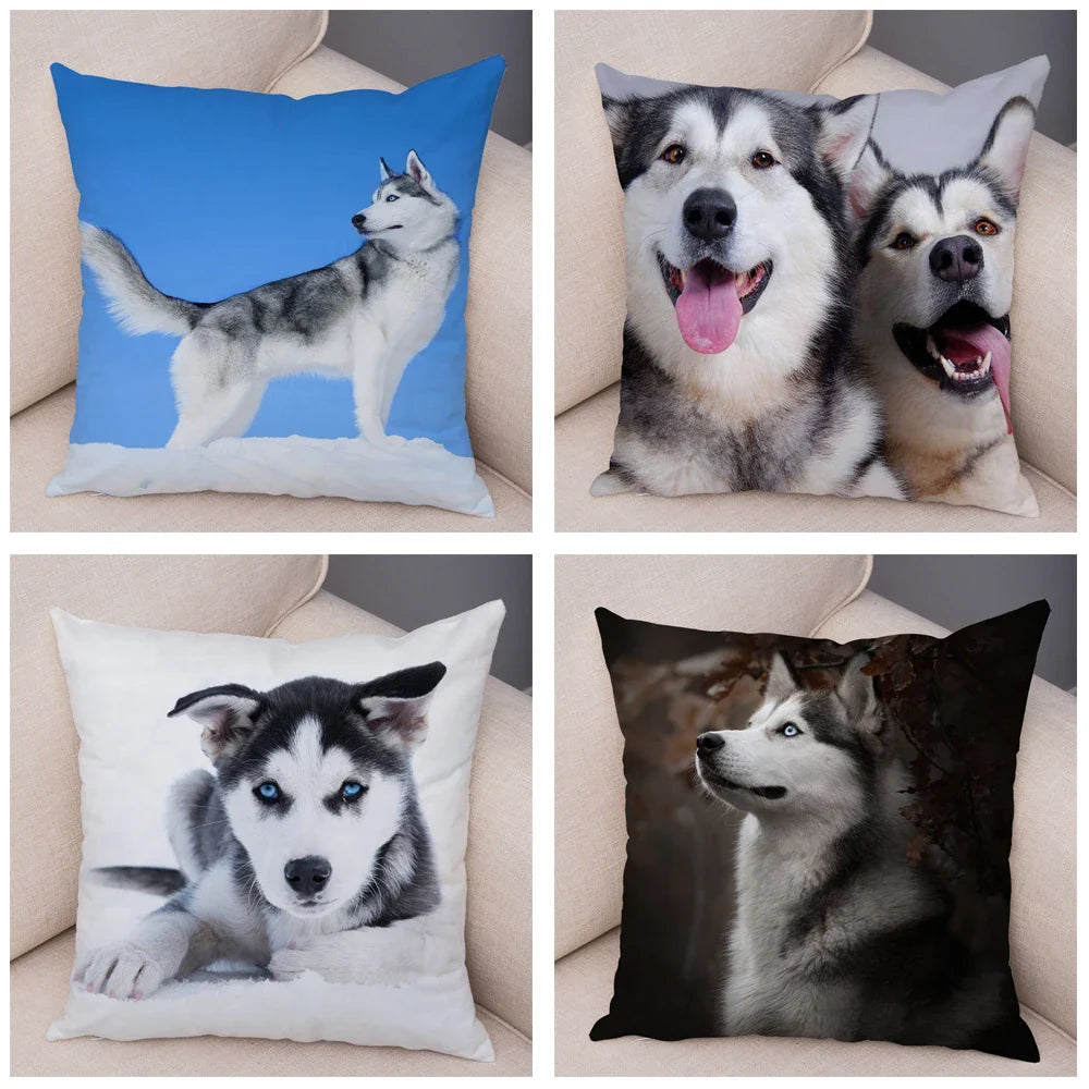 Decor Cute Siberian Husky Pillowcase Pet Dog Printed Super Soft Short Plush Pillow Case Animal Cushion Cover for Sofa