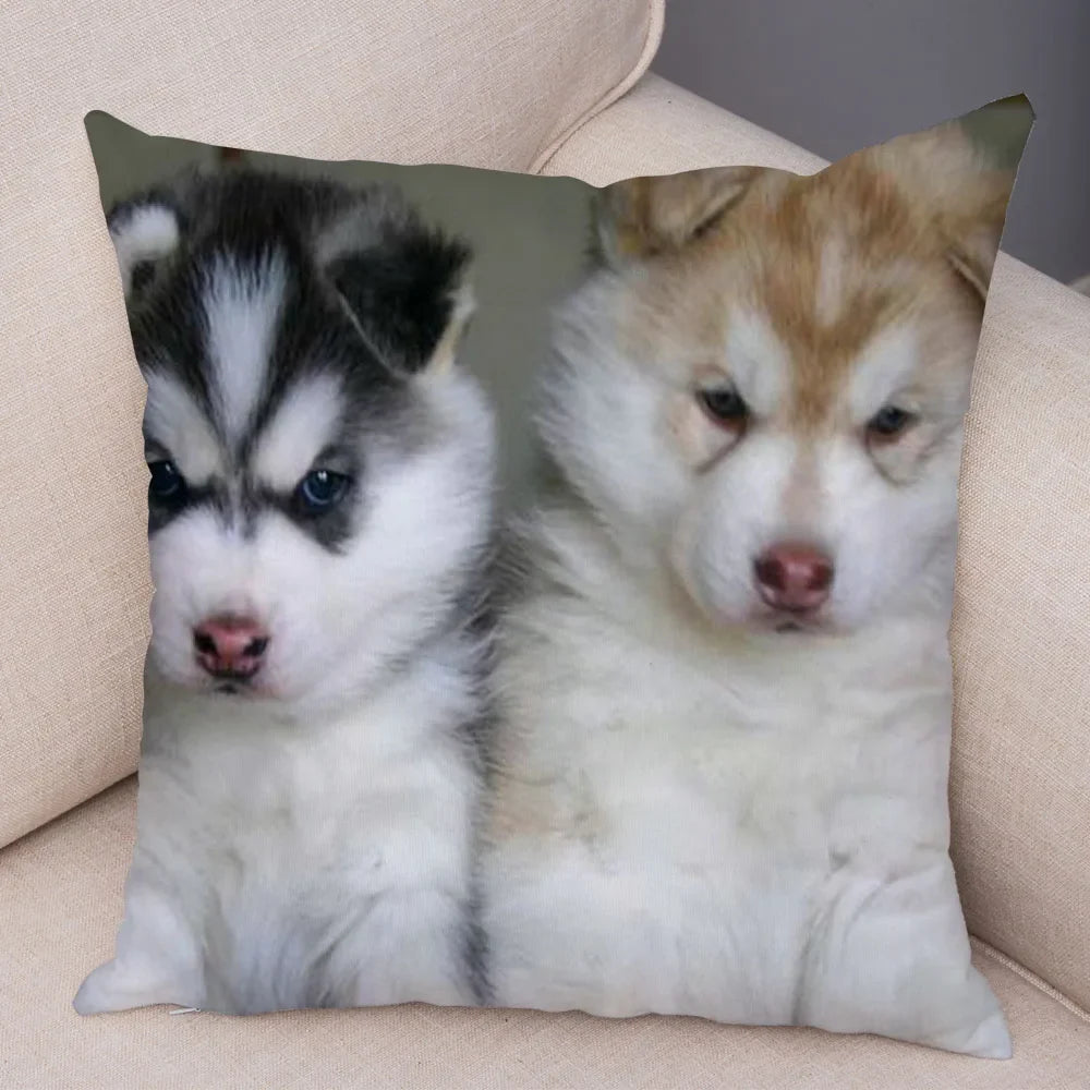 45296467181790|45296467214558|45296467247326|45296467280094