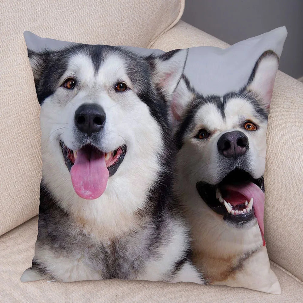 45296465641694|45296465707230|45296465772766|45296465805534