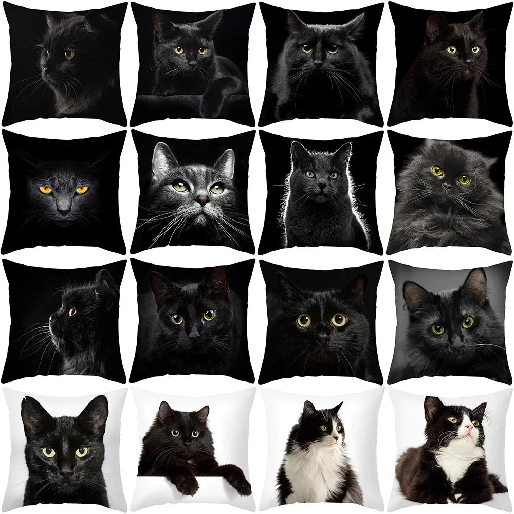 Black Cat Pillowcases Polyester Home Cute Kitty Animal Lover Cushion Cover Funny Decoration Pillow-Dollar Bargains Online Shopping Australia