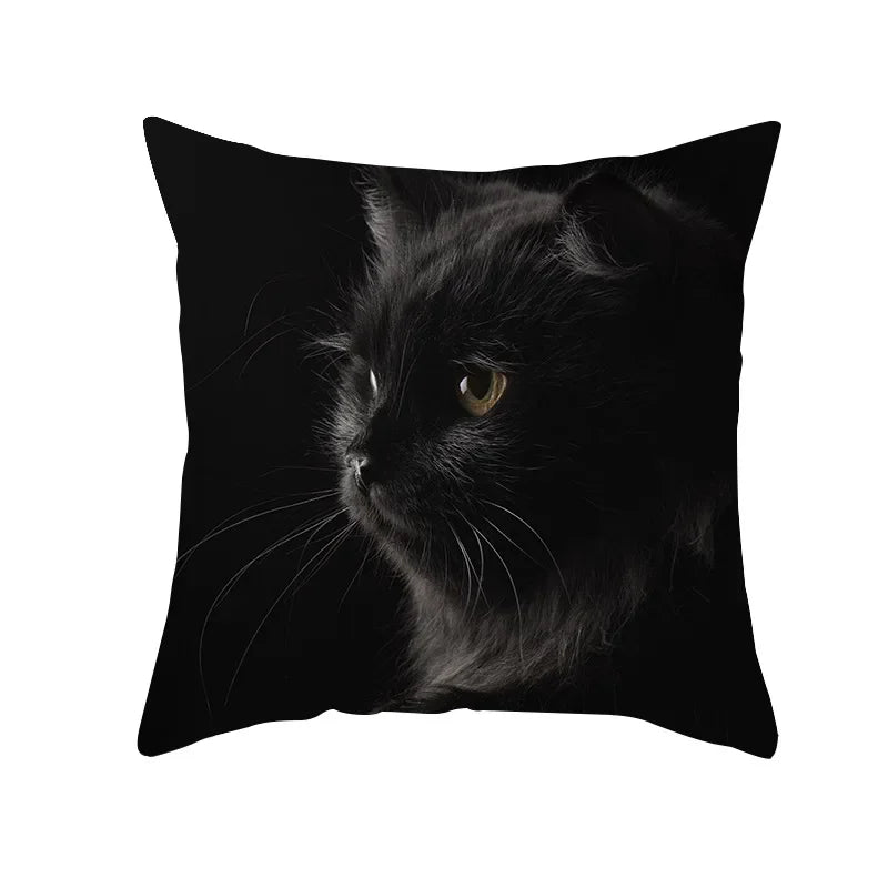 Black Cat Pillowcases Polyester Home Cute Kitty Animal Lover Cushion Cover Funny Decoration Pillow-Dollar Bargains Online Shopping Australia