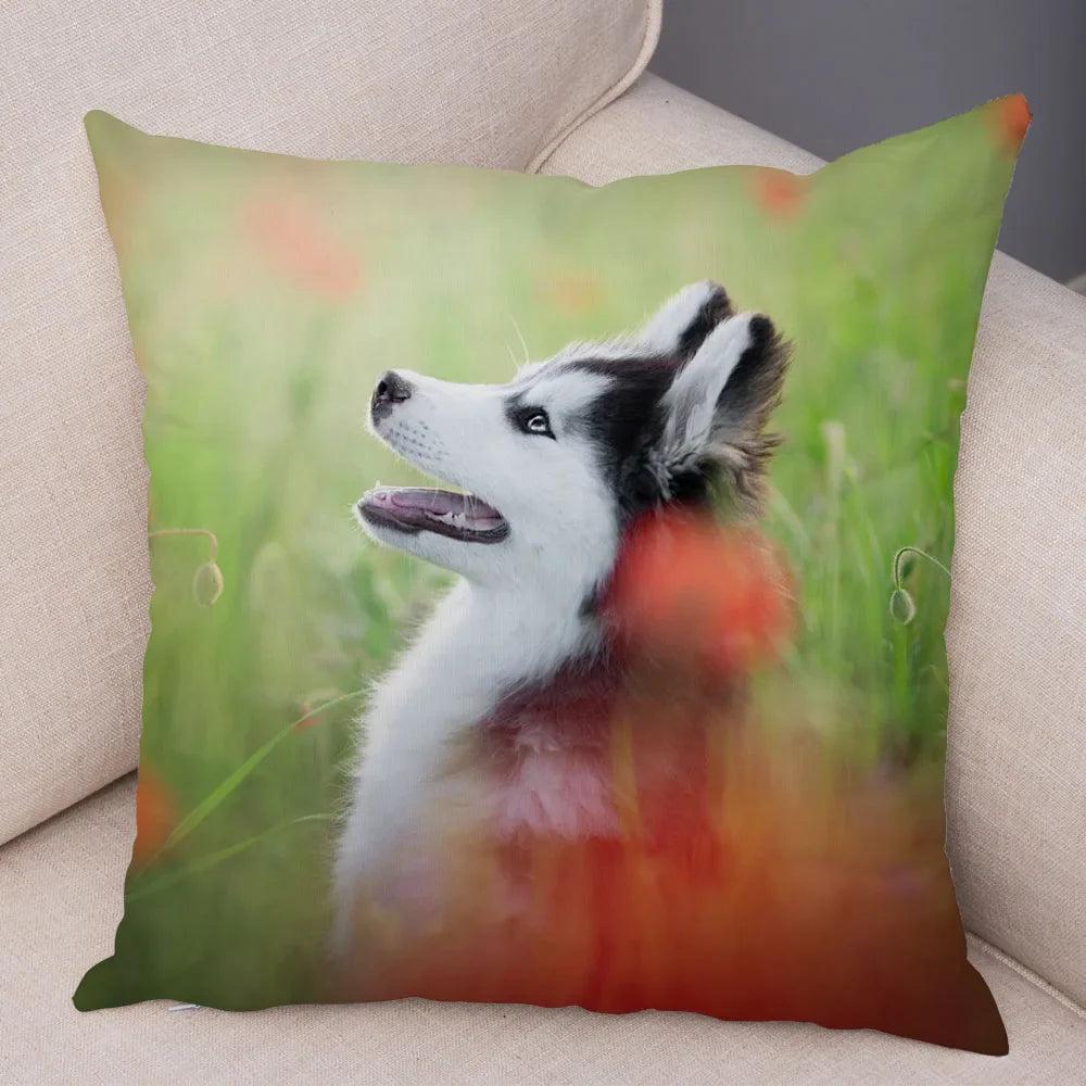 45296465019102|45296465084638|45296465150174|45296465182942