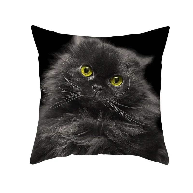 Black Cat Pillowcases Polyester Home Cute Kitty Animal Lover Cushion Cover Funny Decoration Pillow-Dollar Bargains Online Shopping Australia