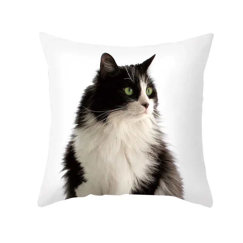 Black Cat Pillowcases Polyester Home Cute Kitty Animal Lover Cushion Cover Funny Decoration Pillow-Dollar Bargains Online Shopping Australia