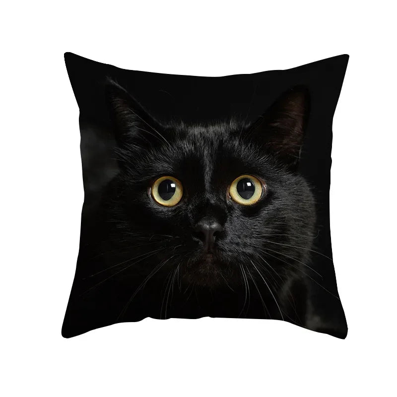 Black Cat Pillowcases Polyester Home Cute Kitty Animal Lover Cushion Cover Funny Decoration Pillow-Dollar Bargains Online Shopping Australia