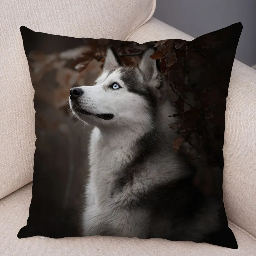 45296465346782|45296465412318|45296467706078|45296467738846