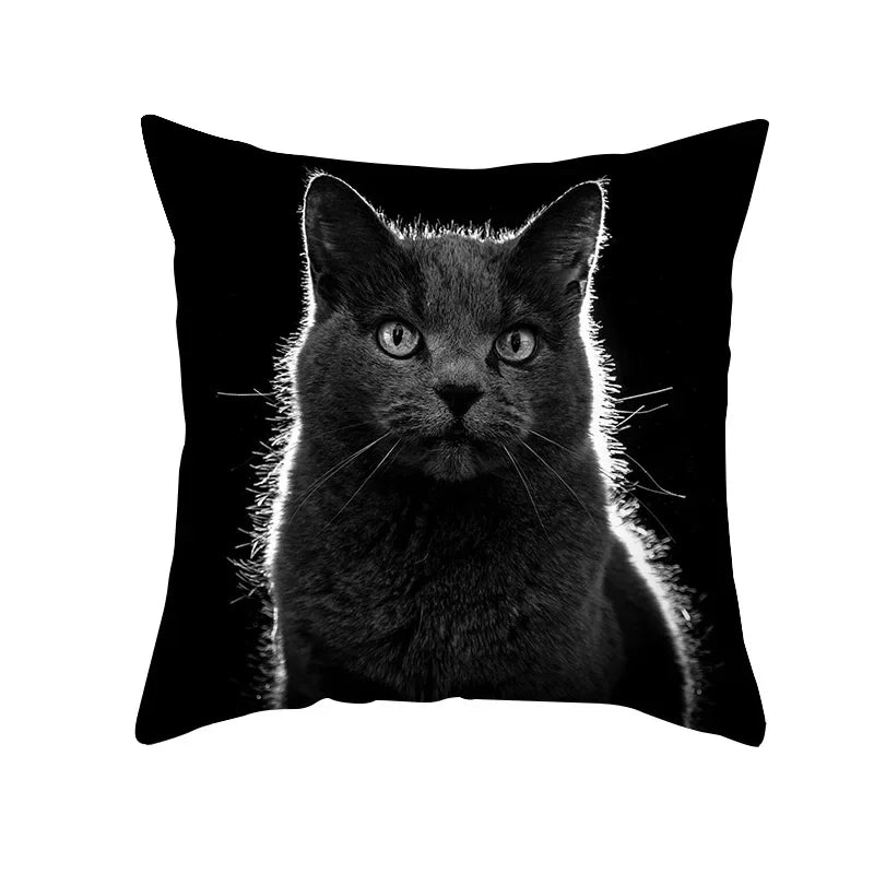 Black Cat Pillowcases Polyester Home Cute Kitty Animal Lover Cushion Cover Funny Decoration Pillow-Dollar Bargains Online Shopping Australia