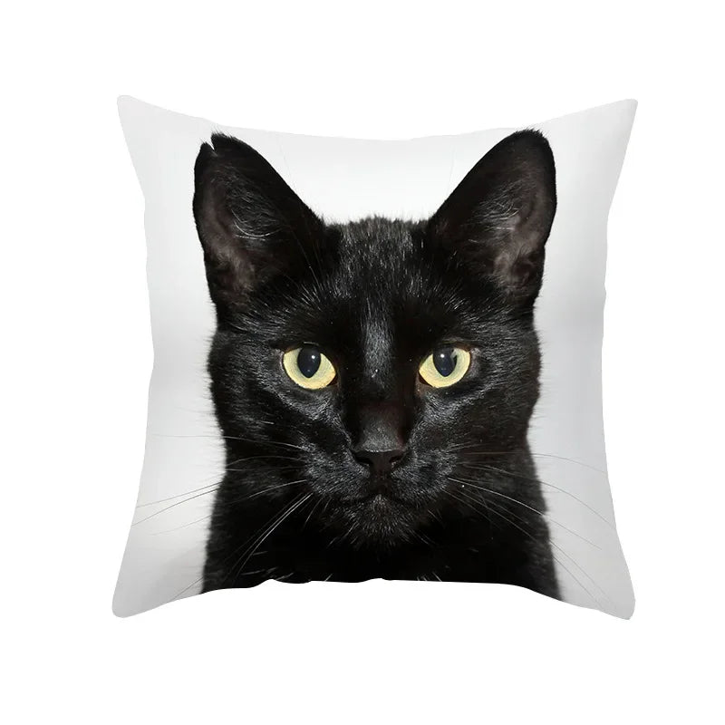 Black Cat Pillowcases Polyester Home Cute Kitty Animal Lover Cushion Cover Funny Decoration Pillow-Dollar Bargains Online Shopping Australia