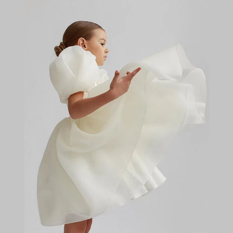 Girl Princess Dress Tulle Puff Sleeve Wedding Party Kids Dresses for Girls Birthday Child Clothes Bridemaids Gown-Dollar Bargains Online Shopping Australia
