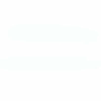 Elegant Bra and Panty Set Women Bras Underwear Lady push up bra Lingeries bra brief set lingerie set