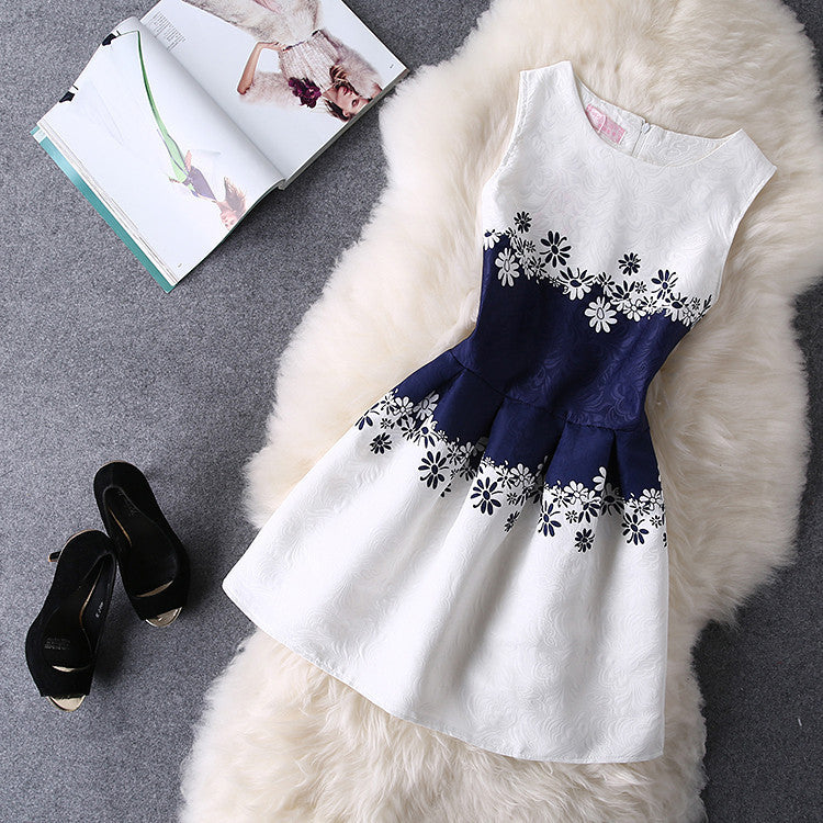 O-Neck Sleeveless Print Casual Dresses Women Vintage Princess Dress Ladies Party Clothing