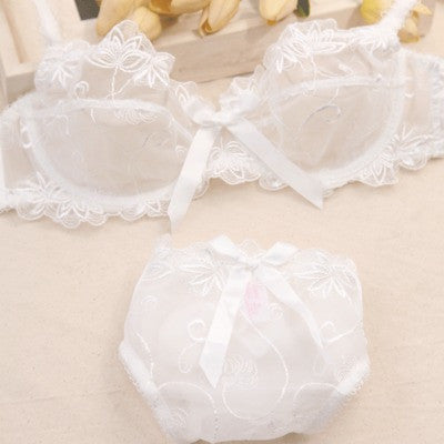 Underwear set thin female sexy push up ultra-thin transparent lace bra sexy lingerie bra and panty set