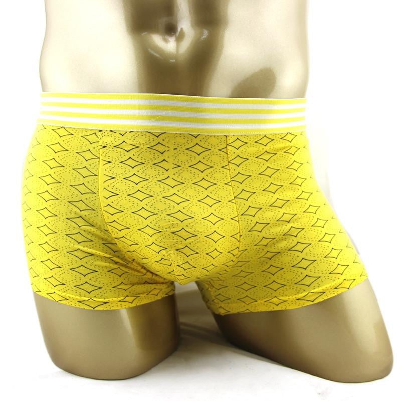 Underwear Men Boxers Underpants Man'S Pants For Men Cuecas Boxer Shorts Man Masculinas cotton pull in gay