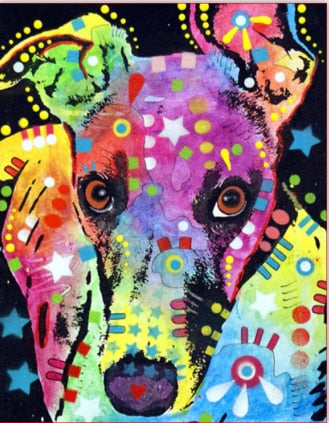 color Dog series Diy painting number diy oil paint by numbers kit painting canvas painting by numbers for kids adults art paint