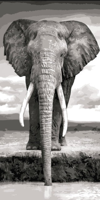 elephant series diy oil digital painting by numbers kits abstract acrylic paint by numbers for adults home decor