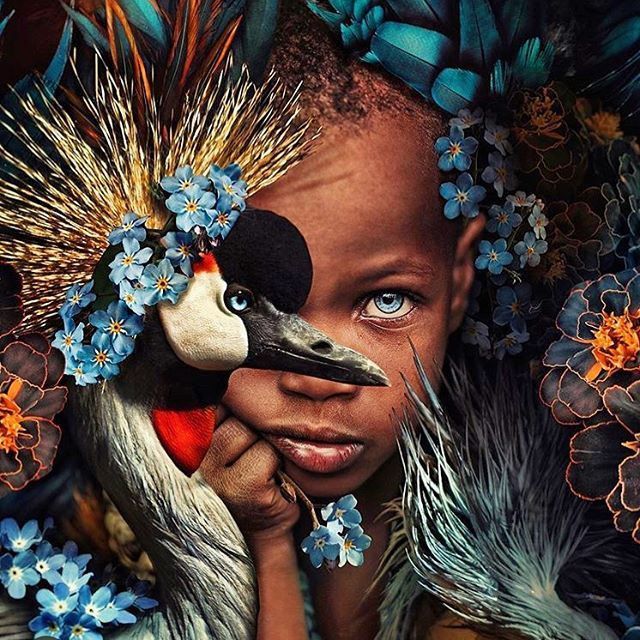 Oil Painting By Numbers Deer DIY Paint By Numbers For Adult Animals Frameless Canvas Painting Unique Gift