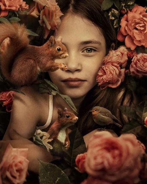 Oil Painting By Numbers Deer DIY Paint By Numbers For Adult Animals Frameless Canvas Painting Unique Gift