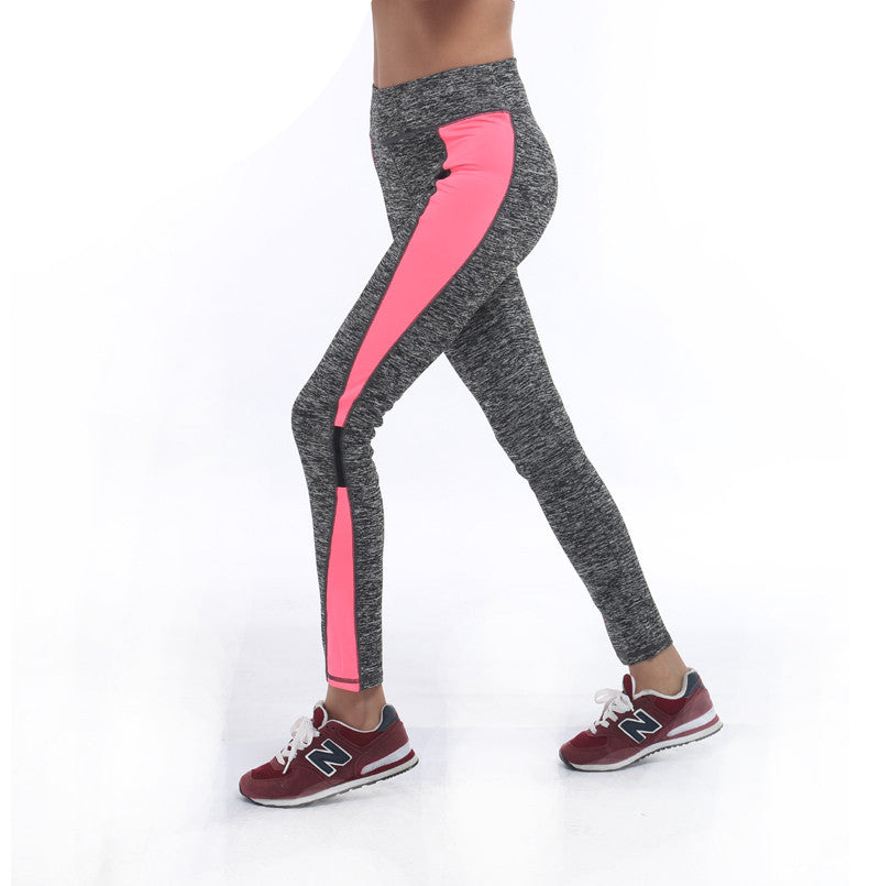 Women Lady Activewear Legging Winter light grey Pink Pant Autumn High Waist Legging Soft 1208 American Original Order-Dollar Bargains Online Shopping Australia