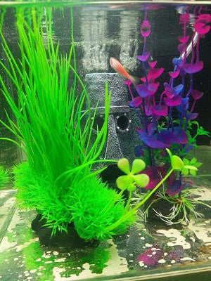 fish tank accessories online australia KyeeaDIY Aquarium Coral Ornament, Decorations, 6pcs Fake Coral Plant Aquarium Decorations Artificial Resin Colorful Coral Reef Fish Tank for Household Office Pet Supplies GOOD COMBO FOR BEGINNER AT