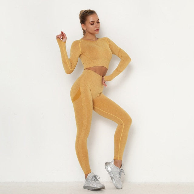 Seamless Women Sport Set For Gym Long Sleeve Top High Waist Belly Control Leggings Clothes Seamless Sport Suit Sexy Booty Girls-Dollar Bargains Online Shopping Australia