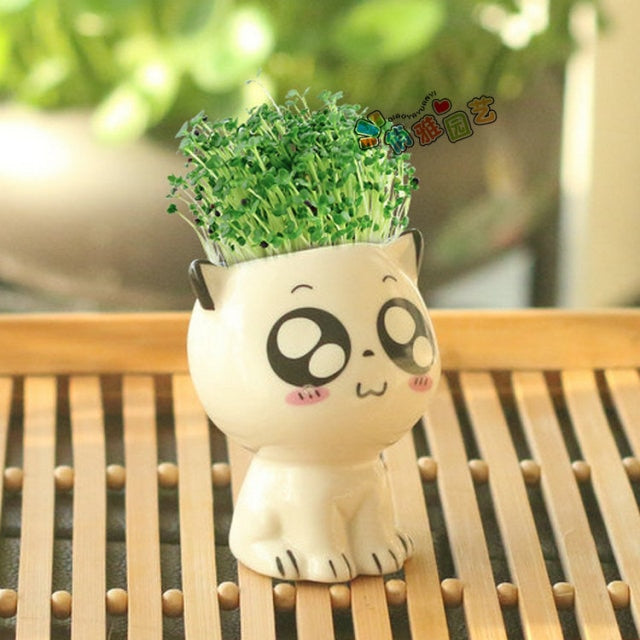 Mini Cat Shaped Ceramic Flowerpot Cartoon Cute Hand Desktop Potted Desk Decorate Small Ornaments-Dollar Bargains Online Shopping Australia
