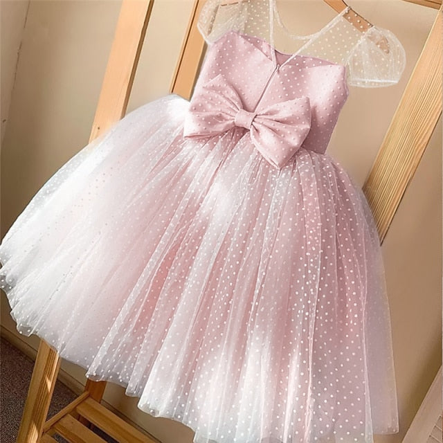 Girls Princess Kids Dresses for Girls Tutu Lace Flower Embroidered Ball Gown Baby Girls Clothes Children Wedding Party Dress-Dollar Bargains Online Shopping Australia