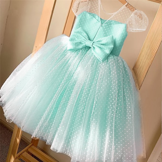 Girls Princess Kids Dresses for Girls Tutu Lace Flower Embroidered Ball Gown Baby Girls Clothes Children Wedding Party Dress-Dollar Bargains Online Shopping Australia