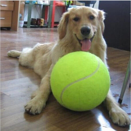 1PC 24CM Big Inflatable Tennis Ball Giant Pet Toy Tennis Ball Dog Chew Toy Signature Mega Jumbo Kids Toy Ball Outdoor Supplies-Dollar Bargains Online Shopping Australia