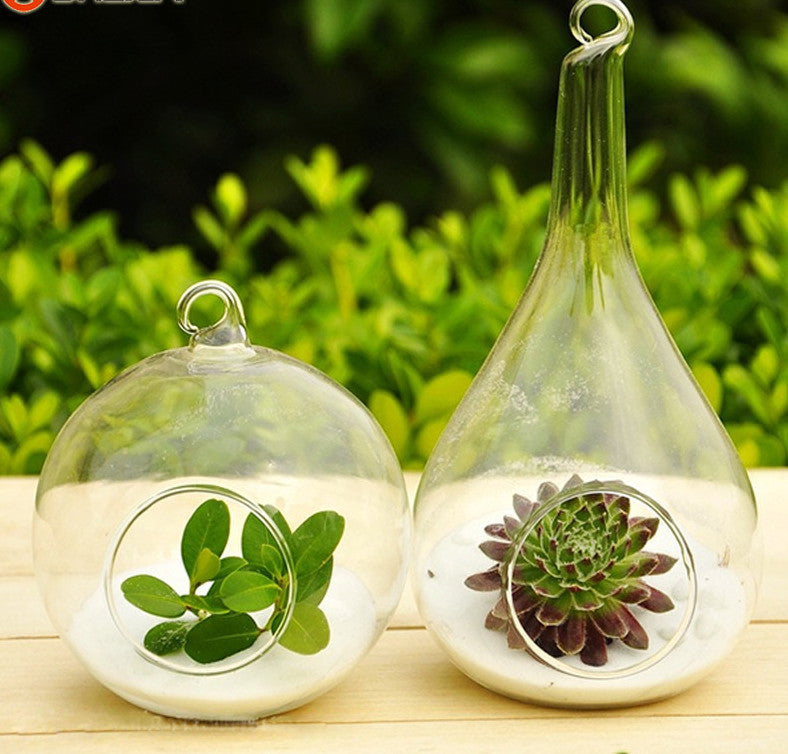 1 Pcs Clear Glass Round with 1 Hole Flower Plant Stand Hanging Vase Hydroponic Home Wedding Decor-Dollar Bargains Online Shopping Australia