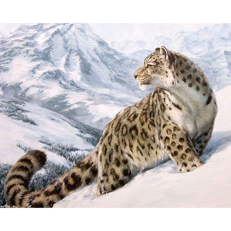 HOME BEAUTY 40x50cm picture paint on canvas diy digital oil painting by numbers drawing home decor craft animals snow GX7471-Dollar Bargains Online Shopping Australia
