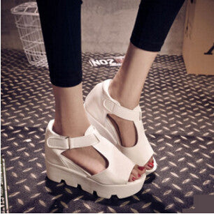 SUMMER STYLE Platform Sandals Shoes Women High Heel Casual Shoes Open Toe Platform Gladiator Trifle Sandals Women Shoes-Dollar Bargains Online Shopping Australia