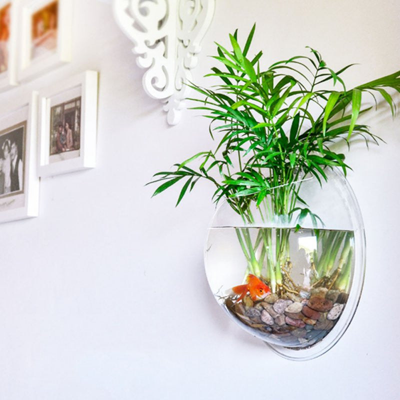 Home Decoration Pot Plant Wall Mounted Hanging Bubble Fish Bowl Acrylic Bowl Fish Tank Aquarium-Dollar Bargains Online Shopping Australia